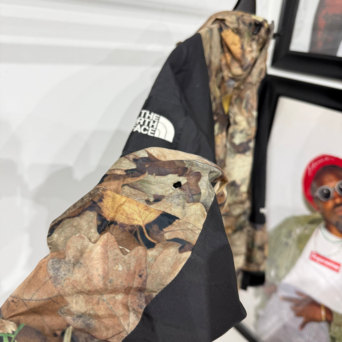 Supreme x The North Face "Leaves: Mountain Jacket