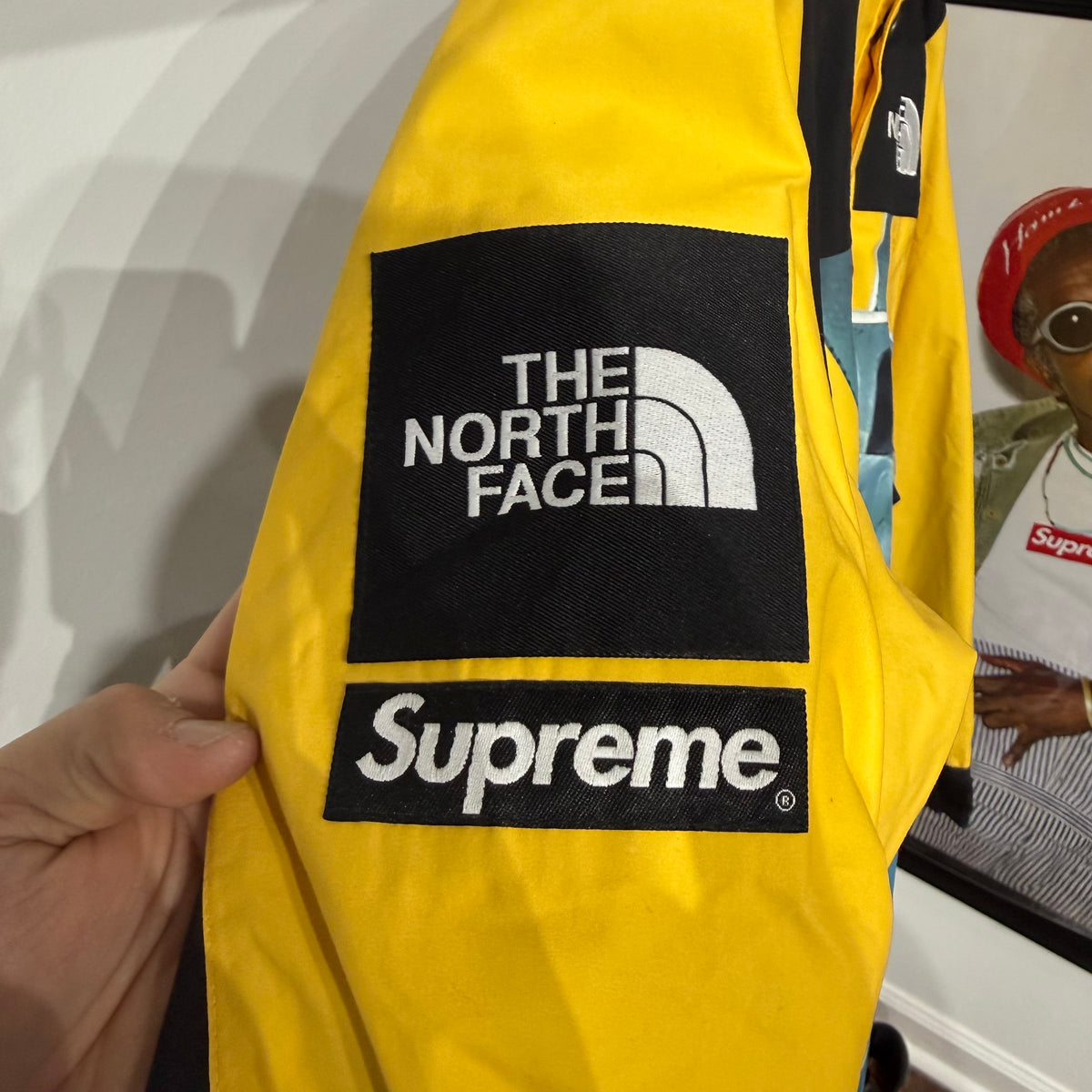 Supreme x The North Face Statue of Liberty Mountain Jacket