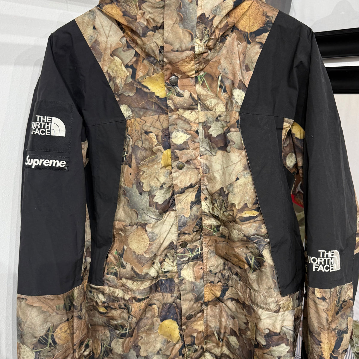 Supreme x The North Face "Leaves: Mountain Jacket