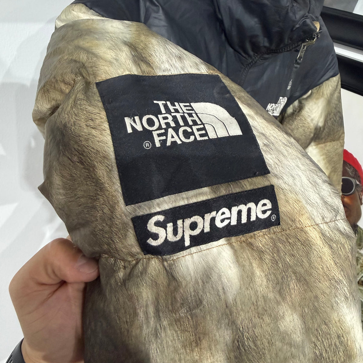 Supreme x The North Face ur Print Nuptse Brown